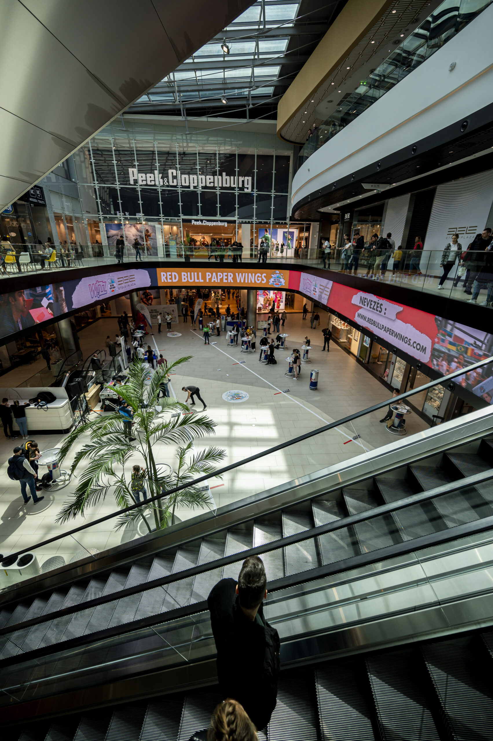 marksomay_20220410_1230_dsc8738