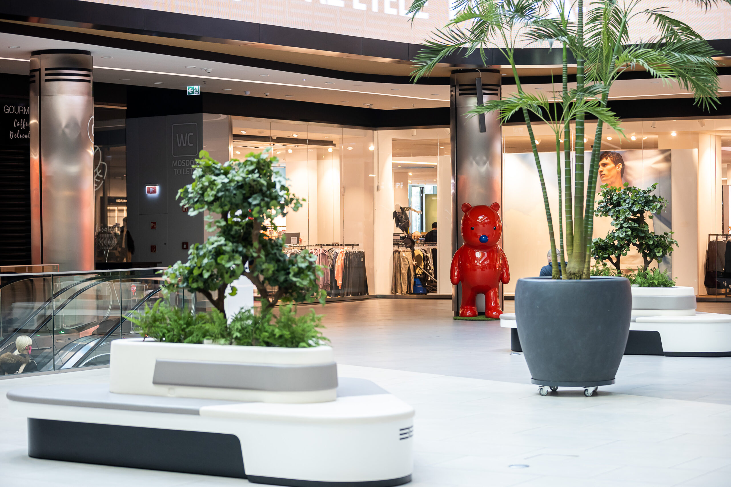 2022-02-10-valentin-napi-mackok-az-etela-plazaban-19