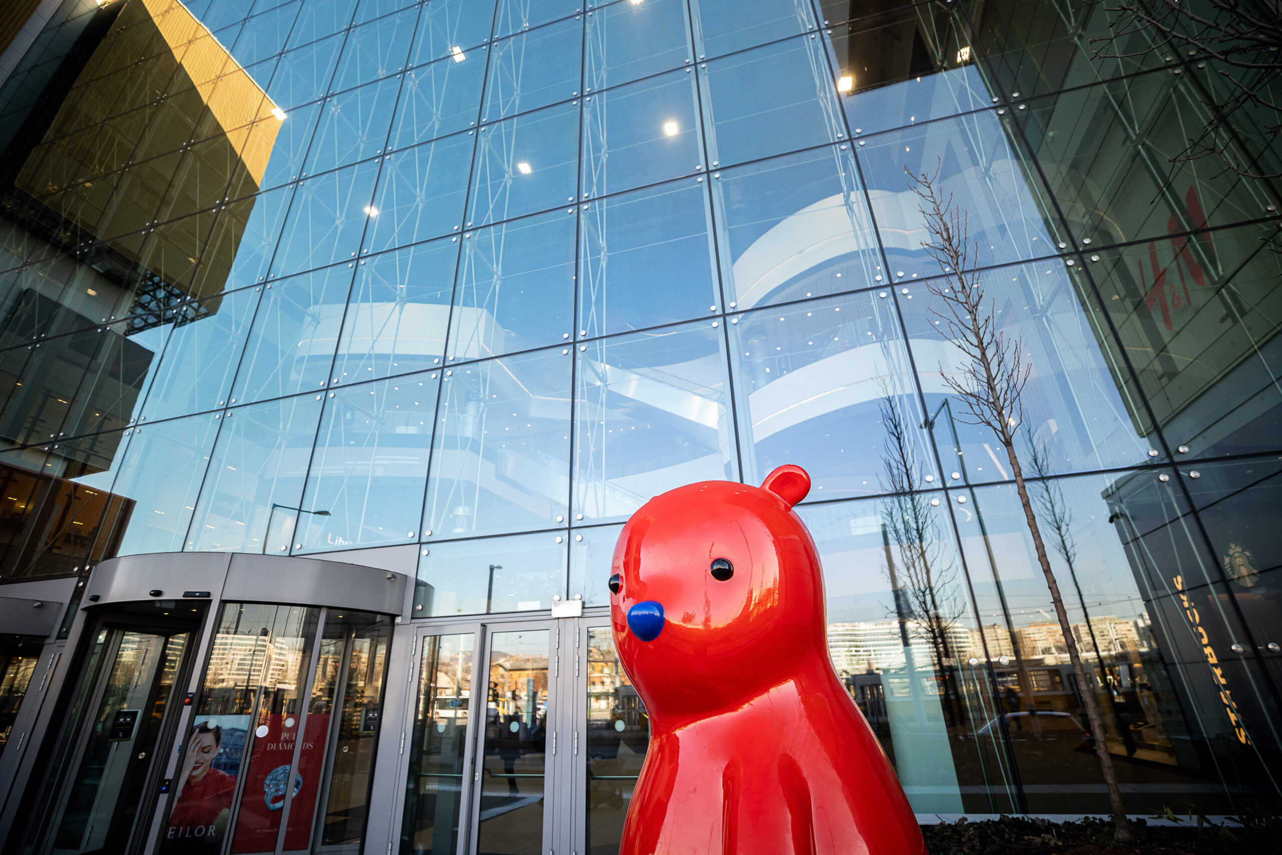 2022-02-10-valentin-napi-mackok-az-etela-plazaban-22