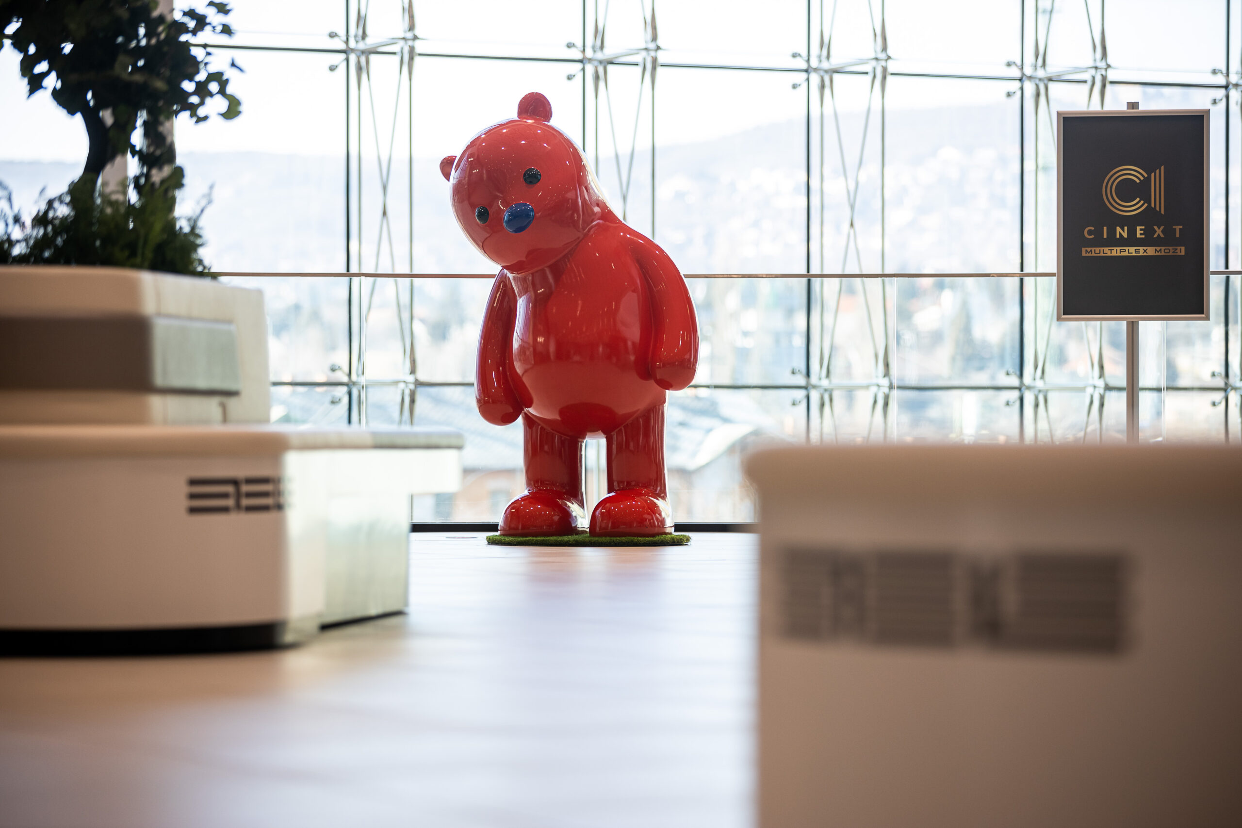 2022-02-10-valentin-napi-mackok-az-etela-plazaban-2-6